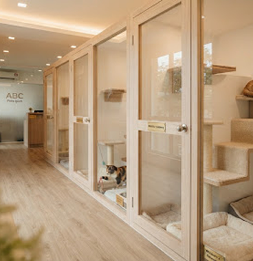 Bright private pet boarding suites